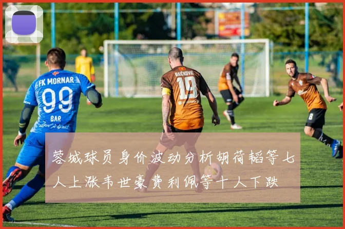 蓉城球员身价波动分析胡荷韬等七人上涨韦世豪费利佩等十人下跌